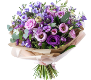 test1 (Copy)